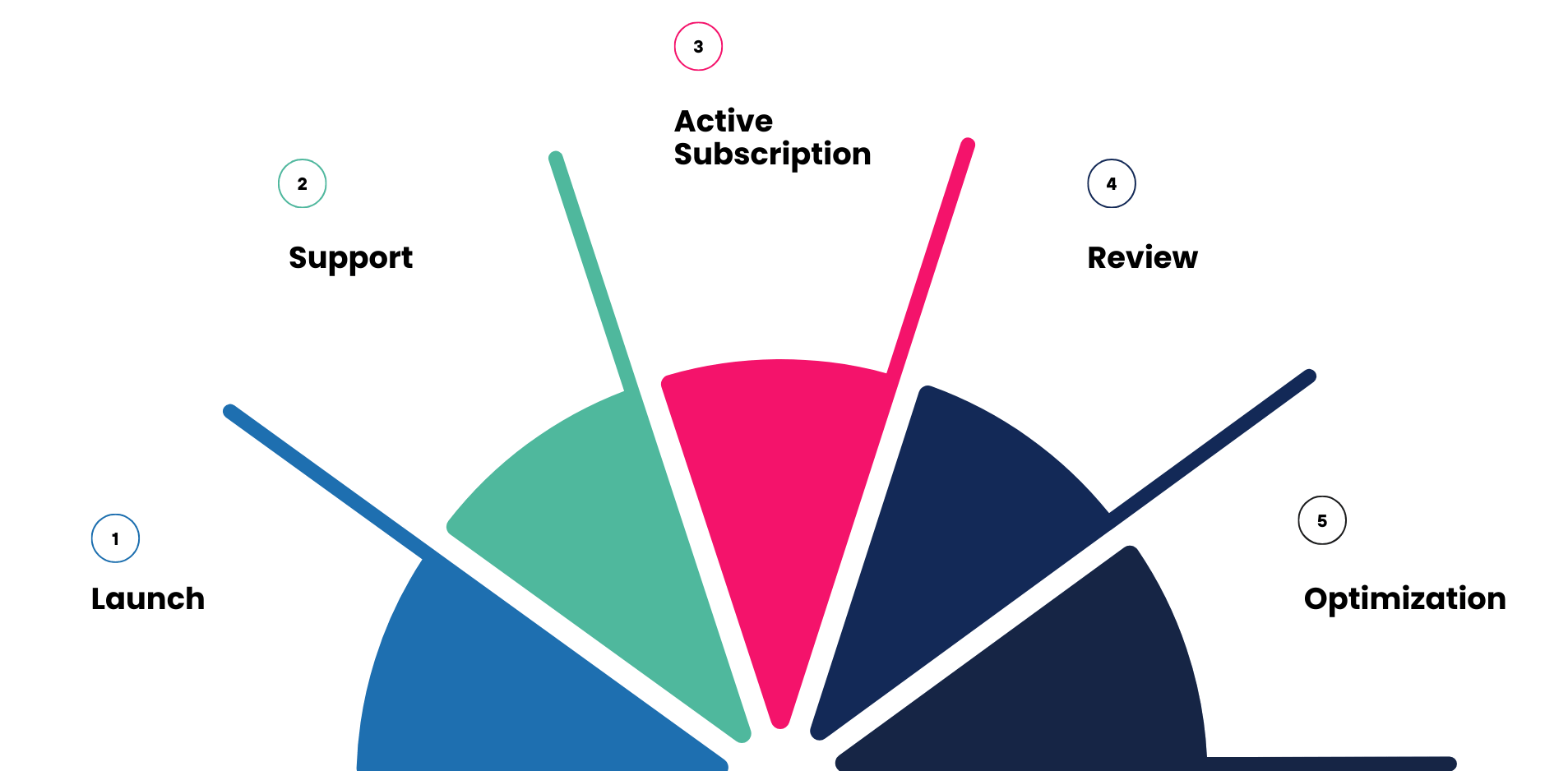 Go-Live & Transition Go-Live & Transition